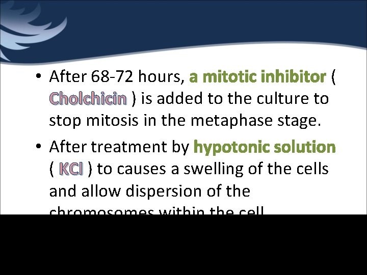 • After 68 -72 hours, a mitotic inhibitor ( Cholchicin ) is added
