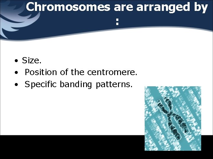 Chromosomes are arranged by : • Size. • Position of the centromere. • Specific