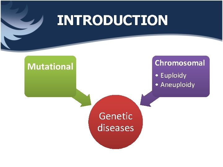INTRODUCTION Chromosomal Mutational • Euploidy • Aneuploidy Genetic diseases 