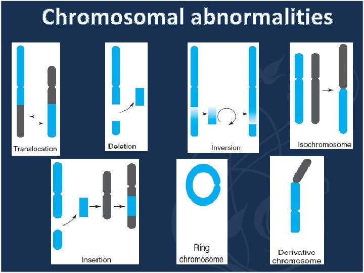 Chromosomal abnormalities 