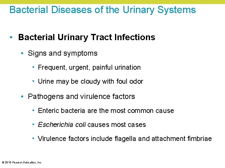 Bacterial Diseases of the Urinary Systems • Bacterial Urinary Tract Infections • Signs and