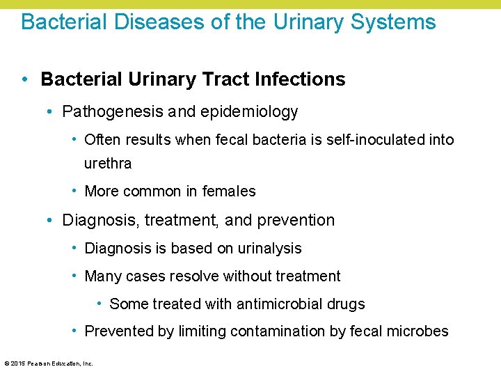 Bacterial Diseases of the Urinary Systems • Bacterial Urinary Tract Infections • Pathogenesis and