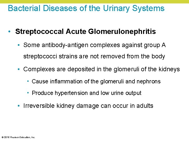Bacterial Diseases of the Urinary Systems • Streptococcal Acute Glomerulonephritis • Some antibody-antigen complexes