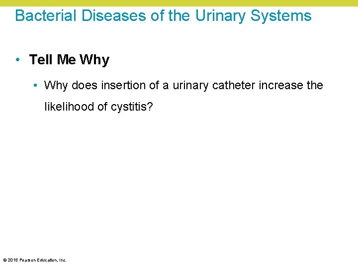 Bacterial Diseases of the Urinary Systems • Tell Me Why • Why does insertion