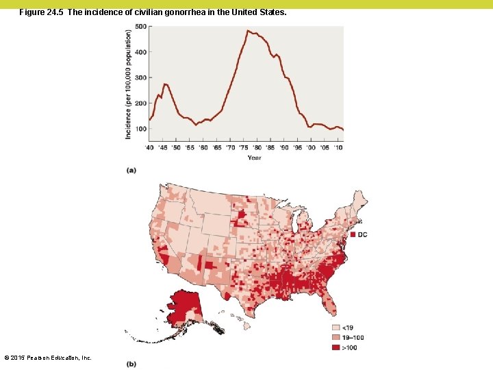 Figure 24. 5 The incidence of civilian gonorrhea in the United States. © 2015