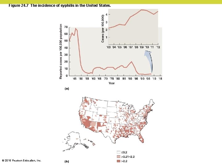 Figure 24. 7 The incidence of syphilis in the United States. © 2015 Pearson