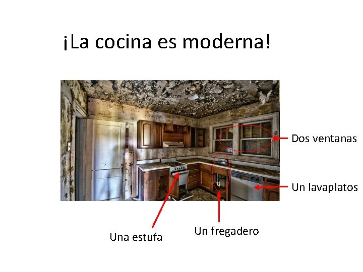 ¡La cocina es moderna! Dos ventanas Un lavaplatos Una estufa Un fregadero 