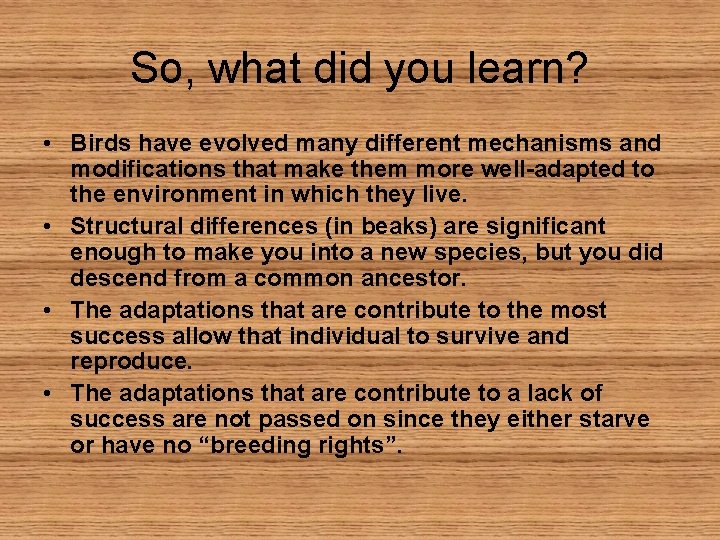 So, what did you learn? • Birds have evolved many different mechanisms and modifications