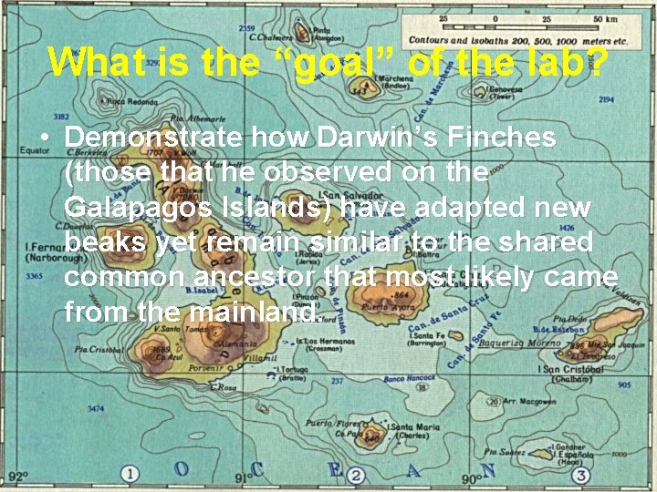 What is the “goal” of the lab? • Demonstrate how Darwin’s Finches (those that