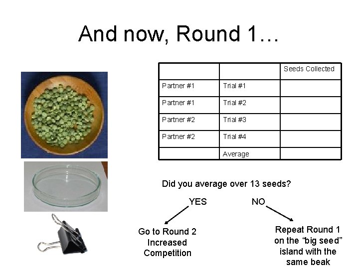 And now, Round 1… Seeds Collected Partner #1 Trial #1 Partner #1 Trial #2