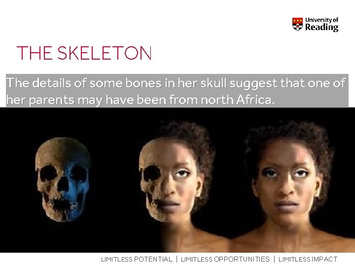 THE SKELETON The details of some bones in her skull suggest that one of