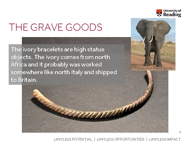THE GRAVE GOODS The ivory bracelets are high status objects. The ivory comes from
