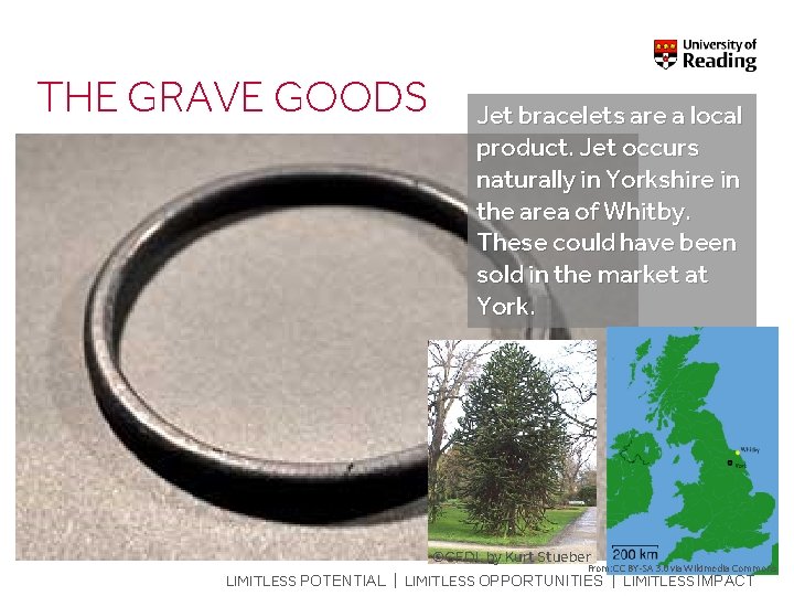 THE GRAVE GOODS Jet bracelets are a local product. Jet occurs naturally in Yorkshire