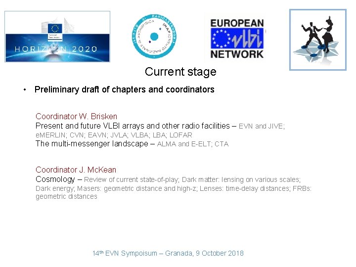 Current stage • Preliminary draft of chapters and coordinators Coordinator W. Brisken Present and
