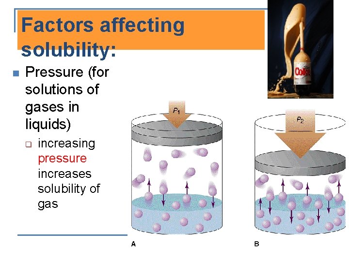 Factors affecting solubility: n Pressure (for solutions of gases in liquids) q increasing pressure
