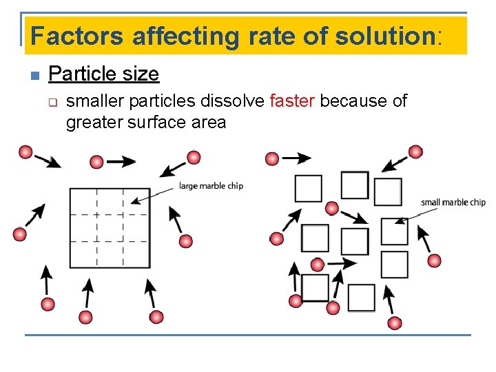 Factors affecting rate of solution: n Particle size q smaller particles dissolve faster because