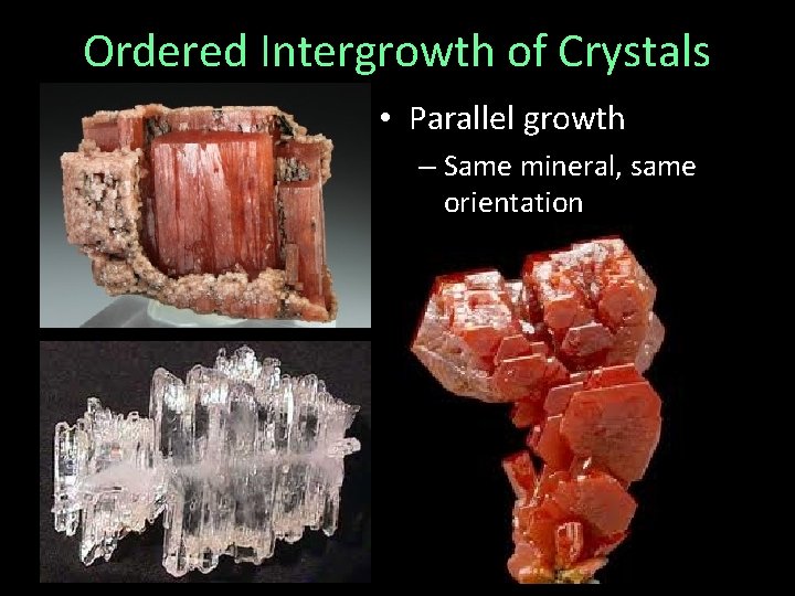 Ordered Intergrowth of Crystals • Parallel growth – Same mineral, same orientation 