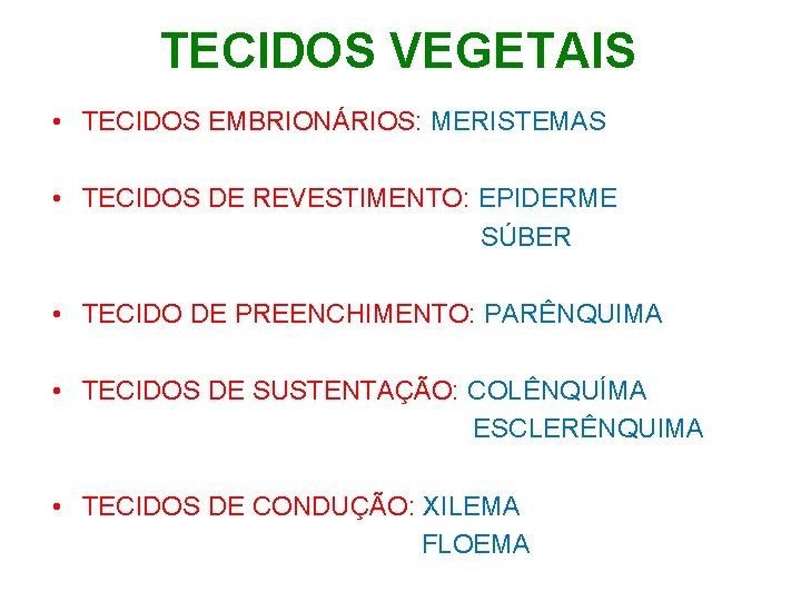 TECIDOS VEGETAIS • TECIDOS EMBRIONÁRIOS: MERISTEMAS • TECIDOS DE REVESTIMENTO: EPIDERME SÚBER • TECIDO