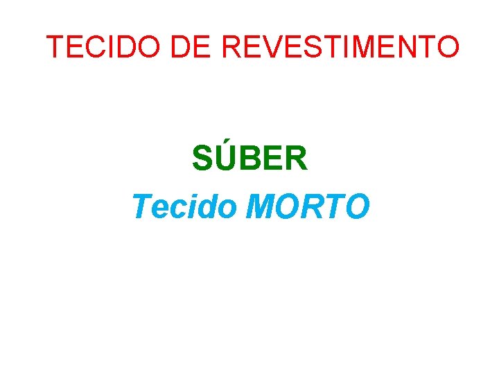 TECIDO DE REVESTIMENTO SÚBER Tecido MORTO 