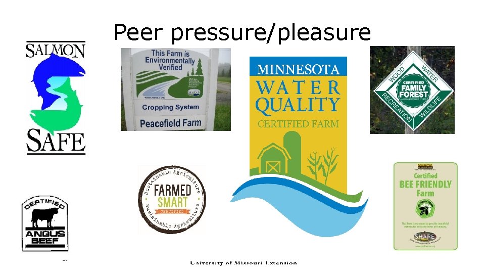 Peer pressure/pleasure  Peer pressure/pleasure