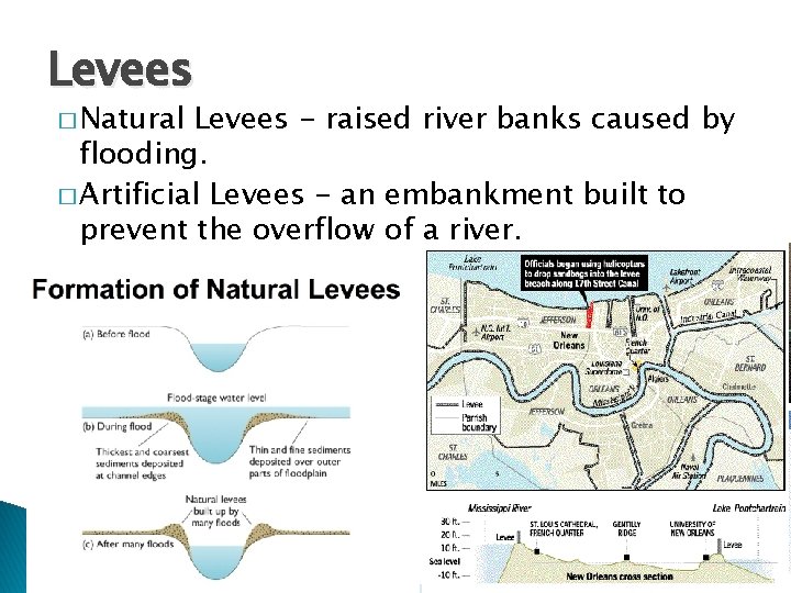 Levees � Natural Levees - raised river banks caused by flooding. � Artificial Levees