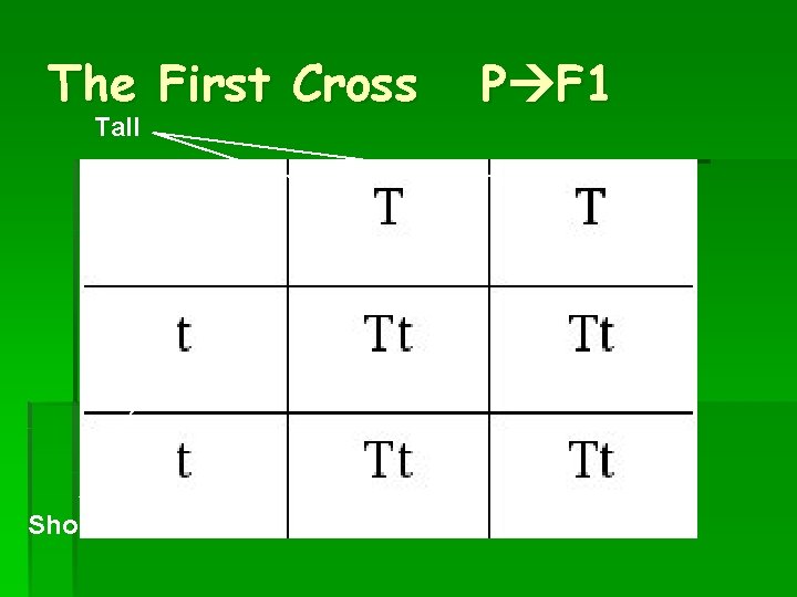 The First Cross Tall Short P F 1 