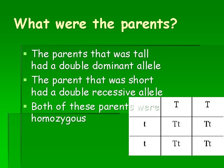 What were the parents? § The parents that was tall had a double dominant