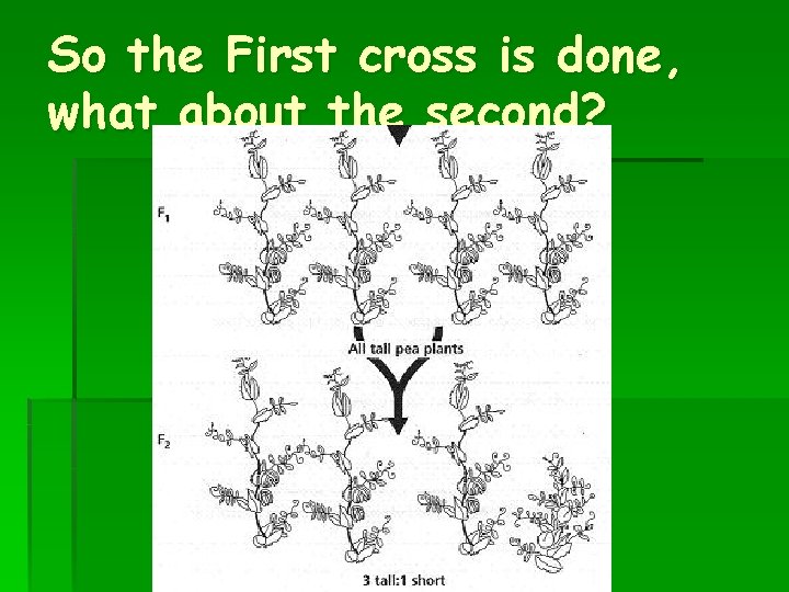 So the First cross is done, what about the second? 