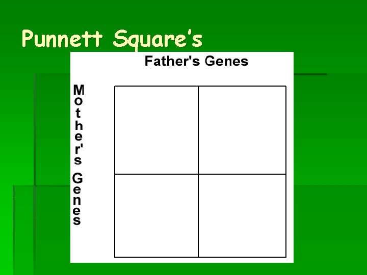 Punnett Square’s 