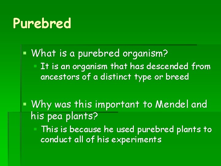Purebred § What is a purebred organism? § It is an organism that has