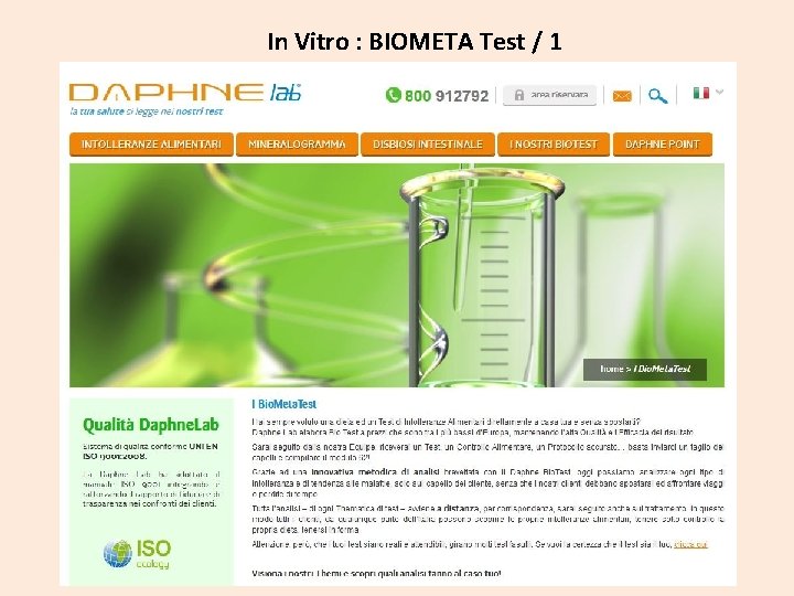 In Vitro : BIOMETA Test / 1 