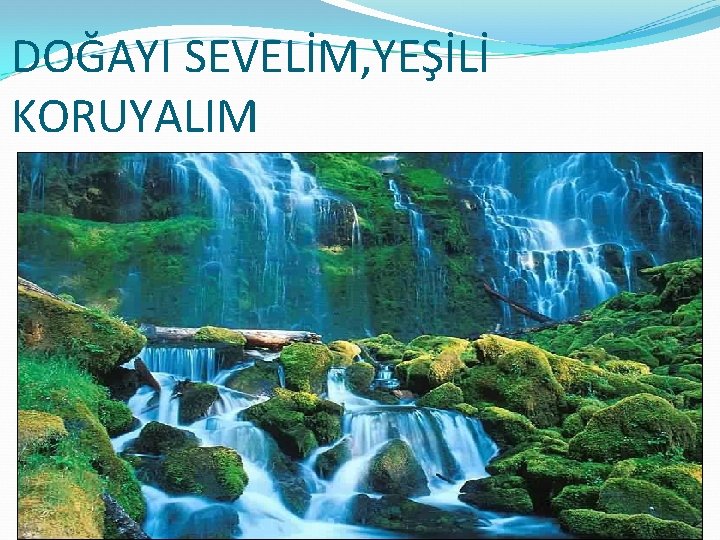 DOĞAYI SEVELİM, YEŞİLİ KORUYALIM 