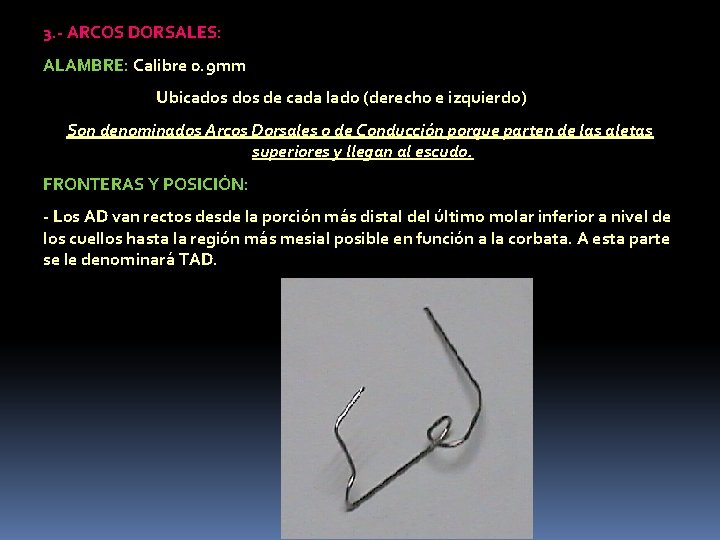 3. - ARCOS DORSALES: ALAMBRE: Calibre 0. 9 mm Ubicados de cada lado (derecho