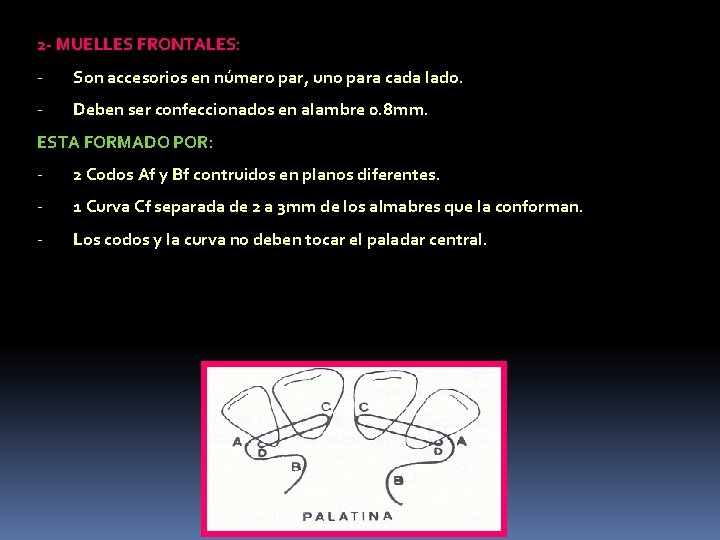 2 - MUELLES FRONTALES: - Son accesorios en número par, uno para cada lado.