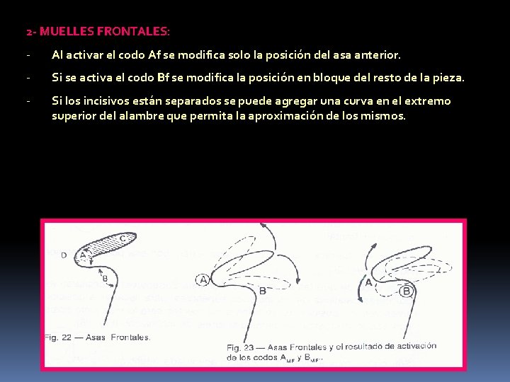 2 - MUELLES FRONTALES: - Al activar el codo Af se modifica solo la