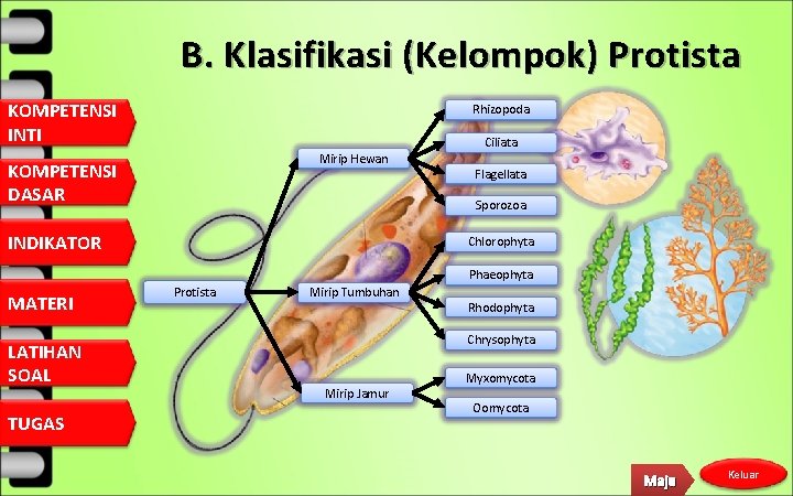 B. Klasifikasi (Kelompok) Protista KOMPETENSI INTI Rhizopoda Mirip Hewan KOMPETENSI DASAR Ciliata Flagellata Sporozoa