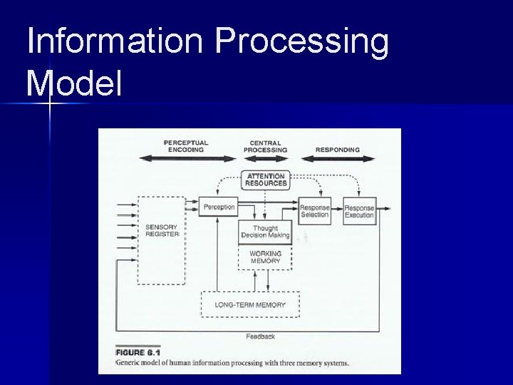 Information Processing Model 