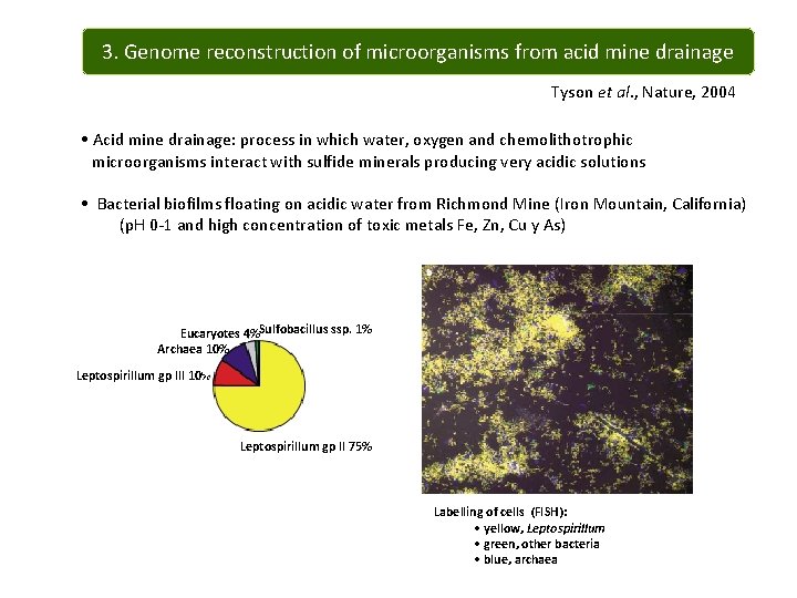 3. Genome reconstruction of microorganisms from acid mine drainage Tyson et al. , Nature,