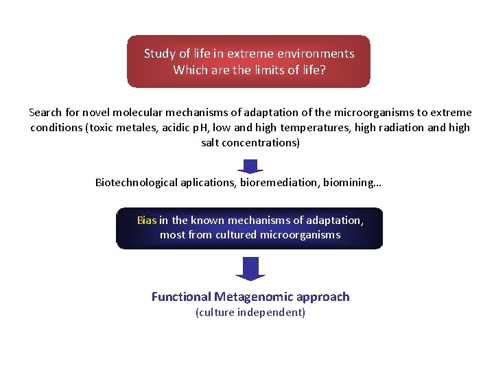 Study of life in extreme environments Which are the limits of life? Search for