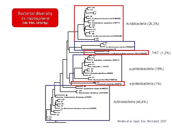 1 H 3 C 12 F 7 H 7 E 5 Uncultured acidobacterium (AF