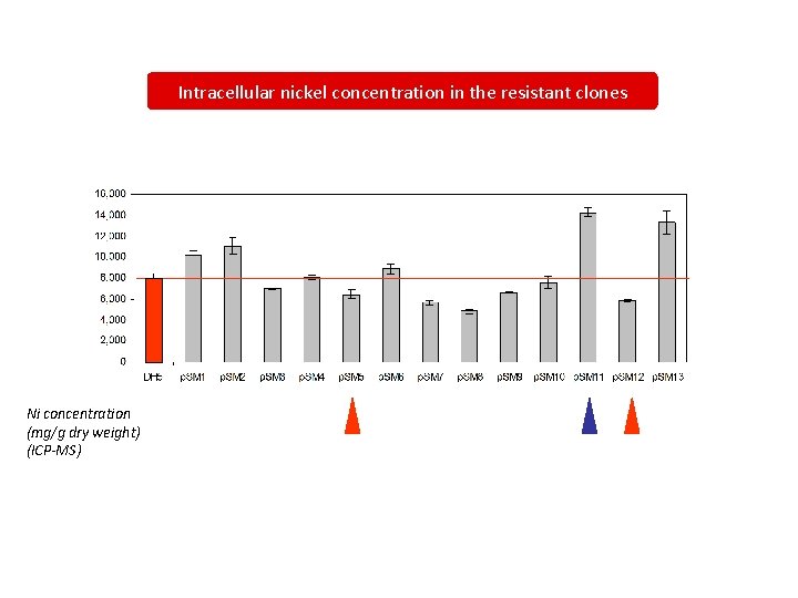 Intracellular nickel concentration in the resistant clones Ni concentration (mg/g dry weight) (ICP-MS) 