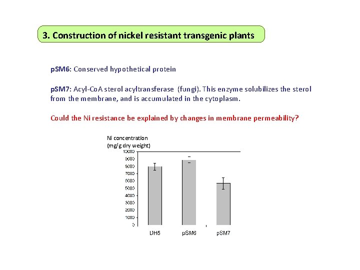 3. Construction of nickel resistant transgenic plants p. SM 6: Conserved hypothetical protein p.