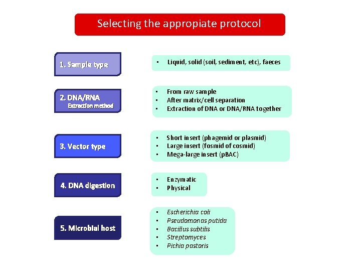 Selecting the appropiate protocol 1. Sample type • Liquid, solid (soil, sediment, etc), faeces