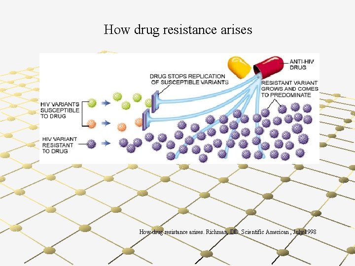 How drug resistance arises. Richman, DD. Scientific American , July 1998 