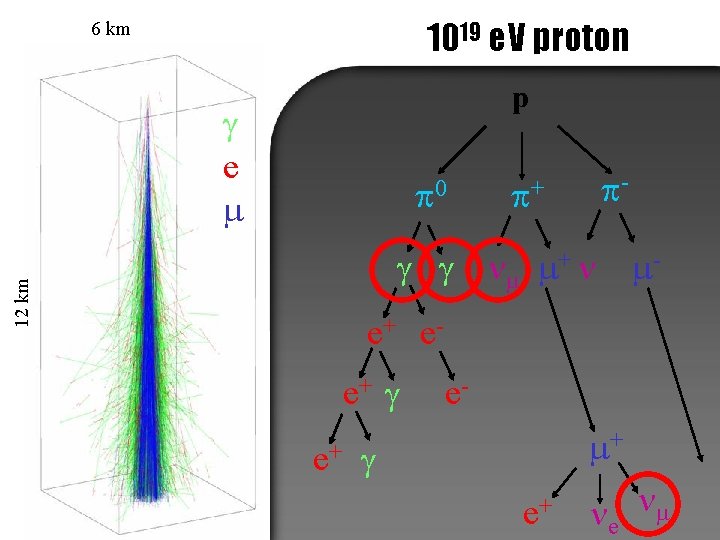 1019 e. V proton 6 km p g e p 0 p+ p- 12