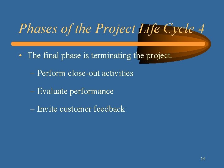 Phases of the Project Life Cycle 4 • The final phase is terminating the