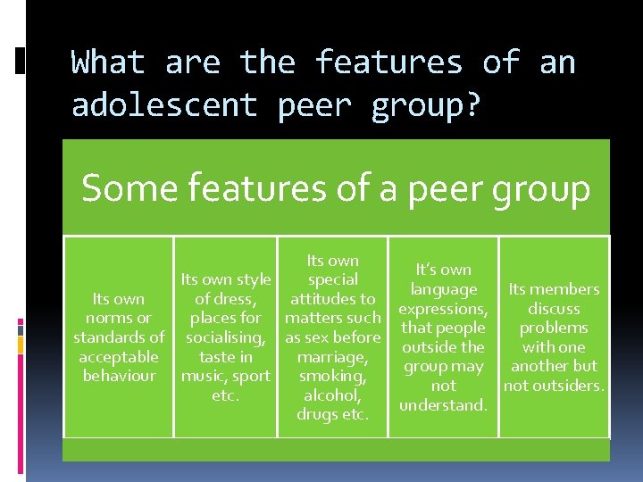 What are the features of an adolescent peer group? Some features of a peer