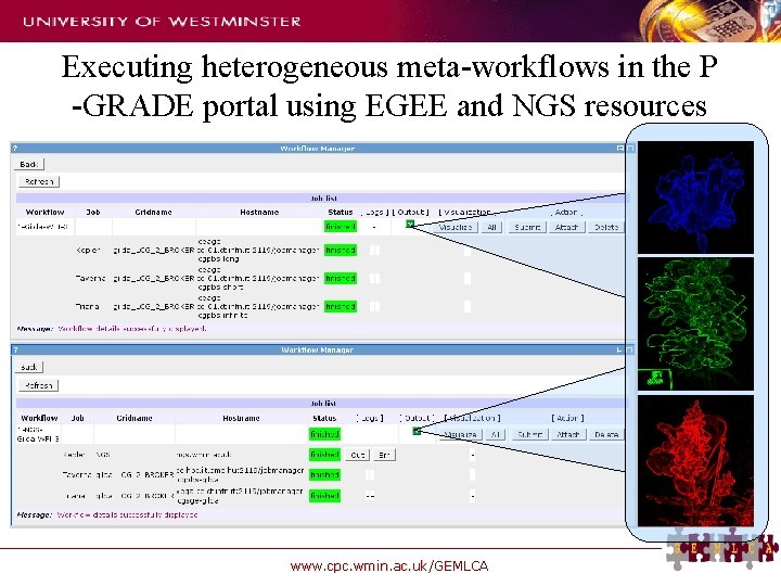 Executing heterogeneous meta-workflows in the P -GRADE portal using EGEE and NGS resources www.