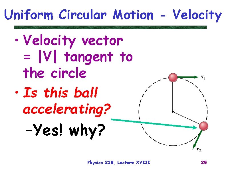 Uniform Circular Motion - Velocity • Velocity vector = |V| tangent to the circle