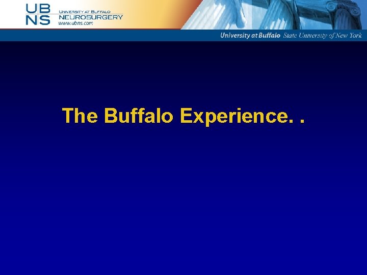 The Buffalo Experience. . 